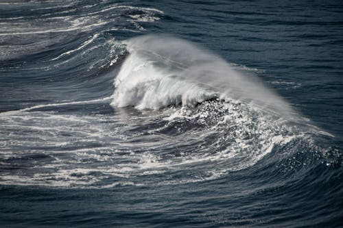 Immagine gratuita di mare, marino, movimento