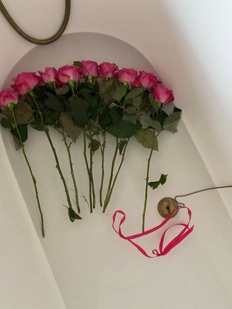 Bunch Of Roses With Stems On Bathtub