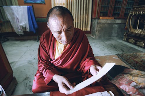 Monk in Gown Reading Book