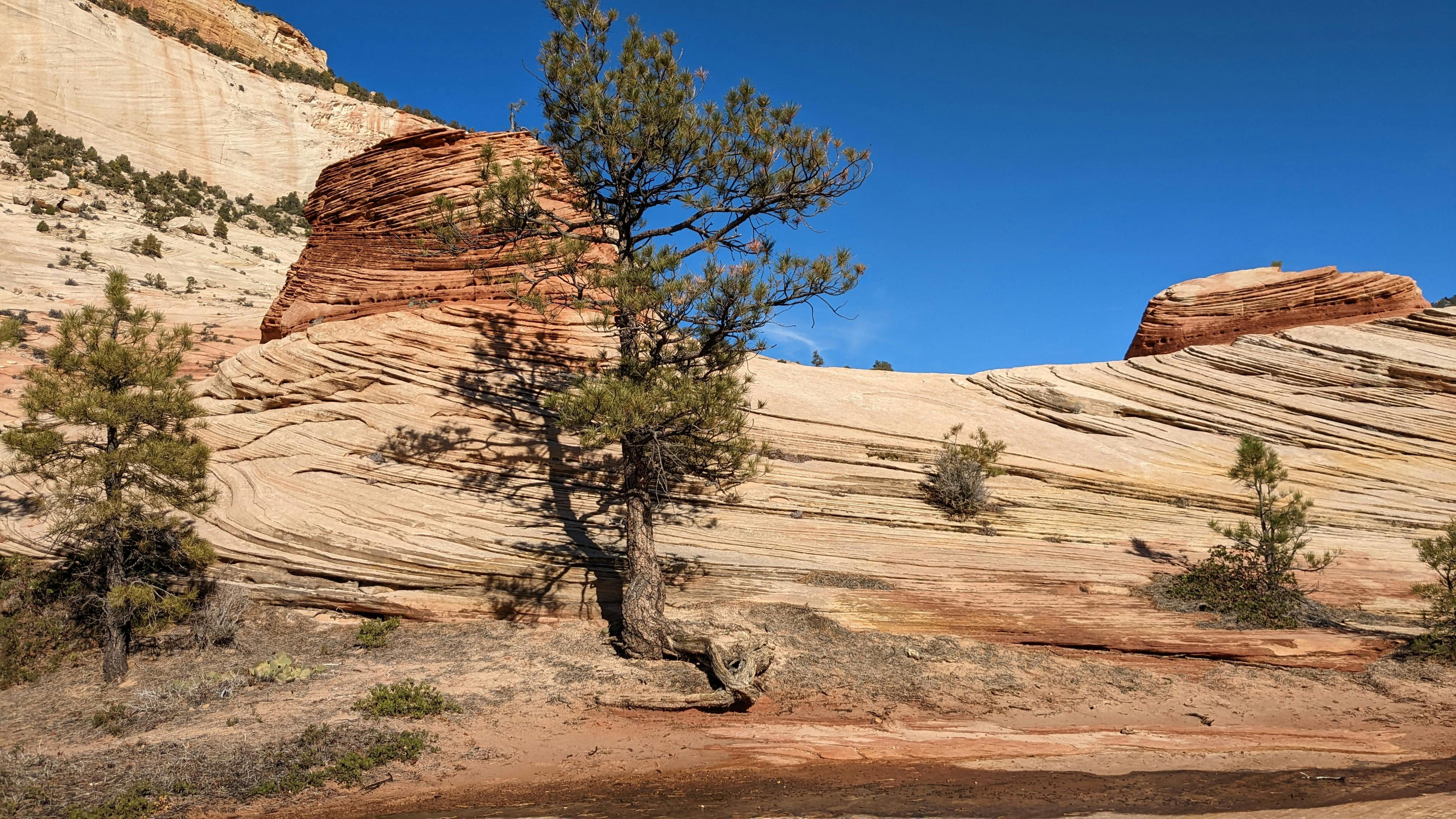 Mountains in Desert Landscape · Free Stock Photo