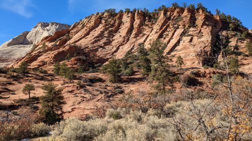 Free Stunning red rock formations under a clear blue sky with scattered trees and shrubs. Stock Photo