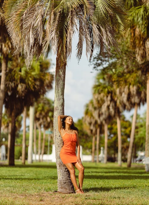Beautiful Woman in Dress Posing in Front of Palm Tree