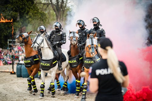 Foto profissional grátis de andar a cavalo, cavalos, corrida