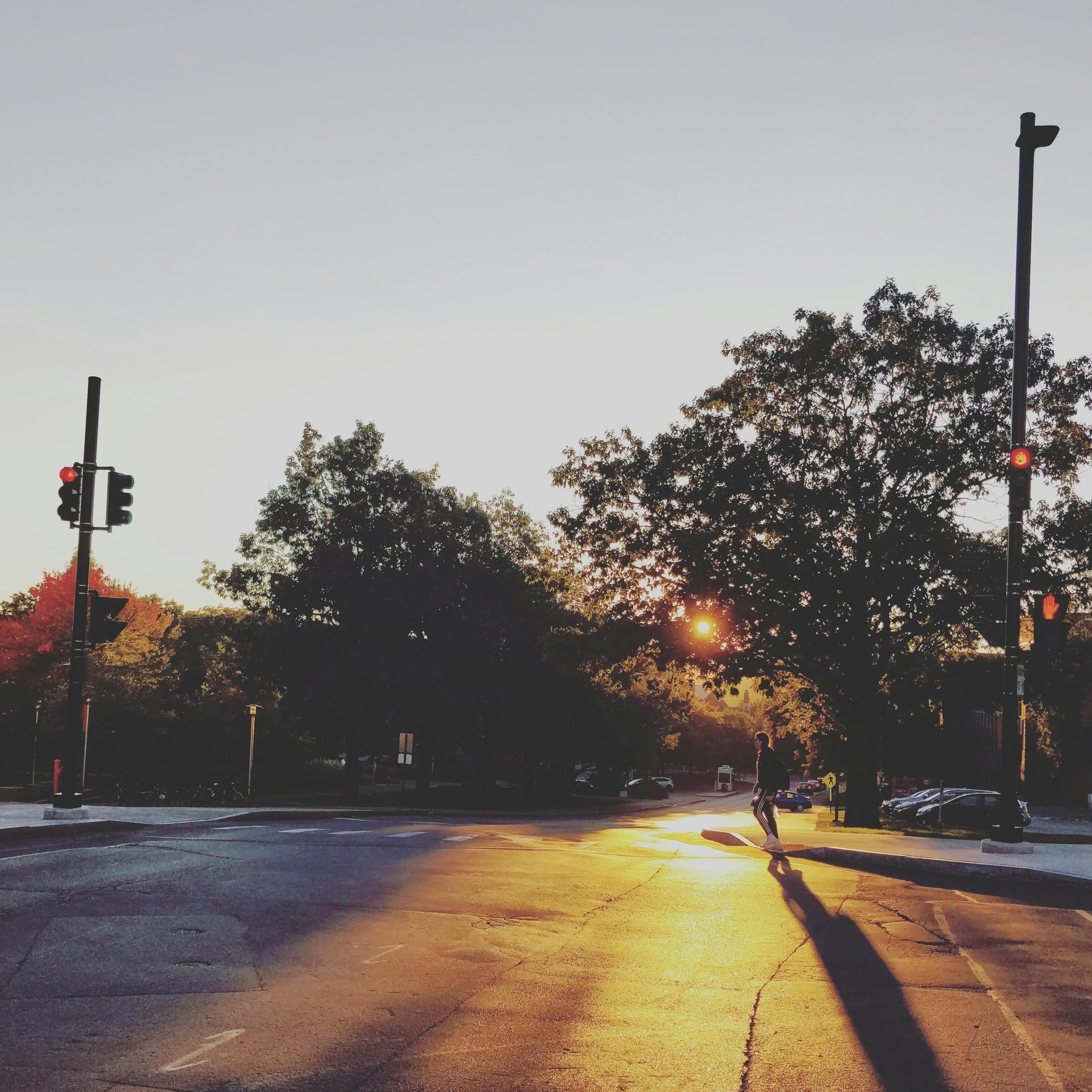 Free stock photo of college life, street, sunset