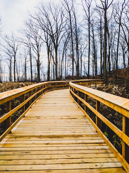 Wooden Boardwalk in Park