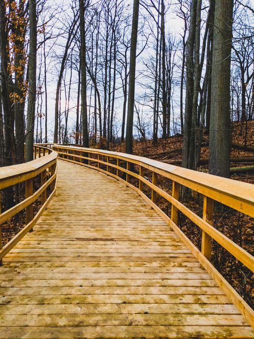 Free Serene wooden path winding through a bare autumn forest in Canada. Stock Photo