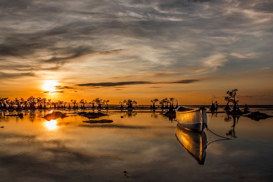 Walakiri dan Tarimbang: Dua Wajah Laut Waingapu, dari Mangrove Senja sampai Ombak Selatan
