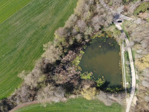 Безкоштовне стокове фото на тему «Аерофотозйомка, вид зверху, водоймище»