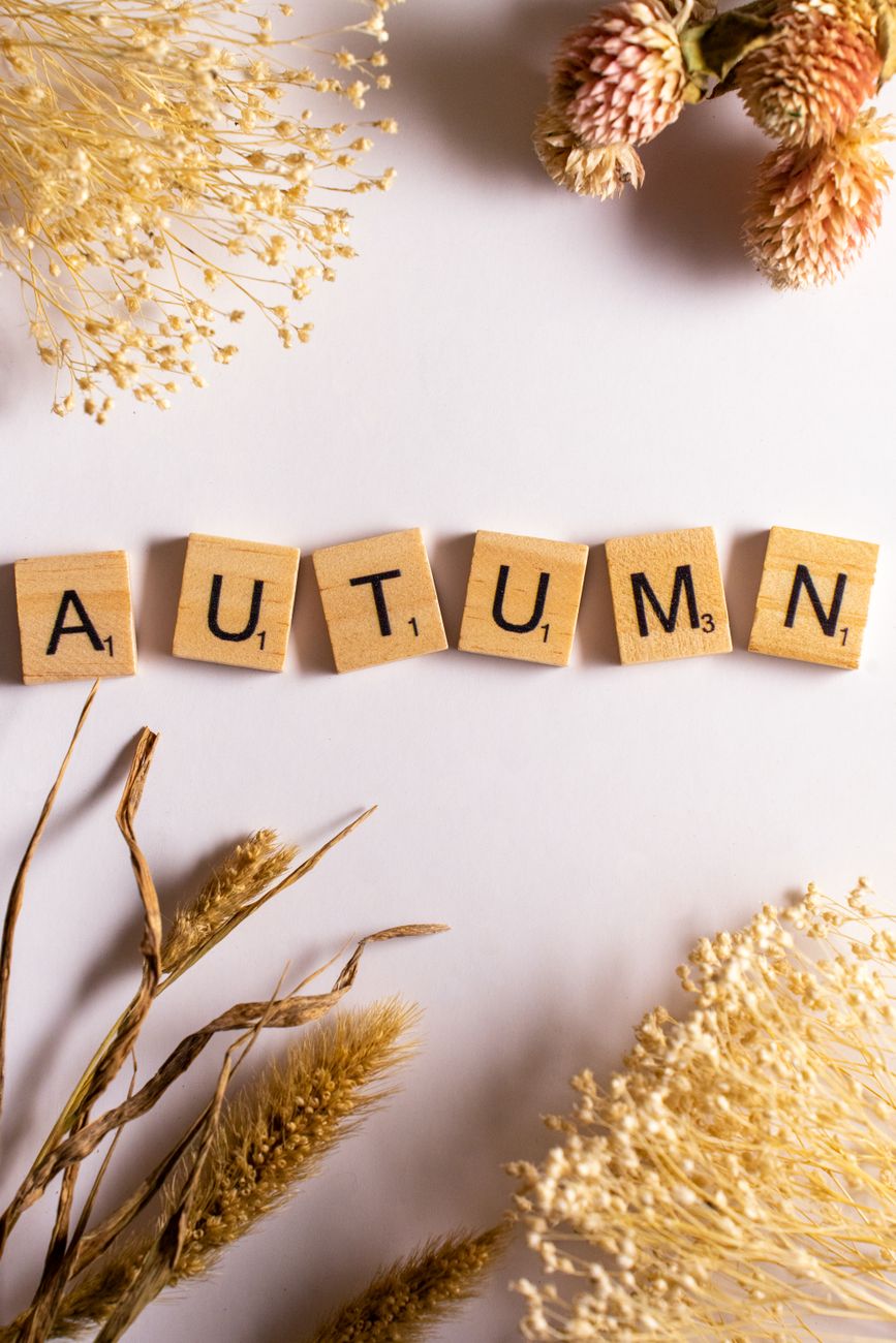 Wooden letter tiles spelling 'Autumn' with dried flowers in a still life arrangement.