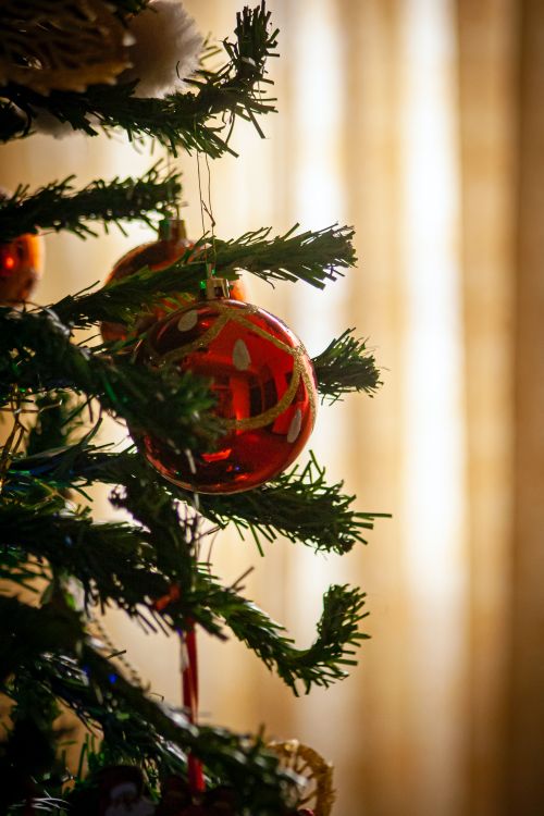 Free Close-up of a decorated Christmas tree with shiny red baubles inside a cozy home. Stock Photo