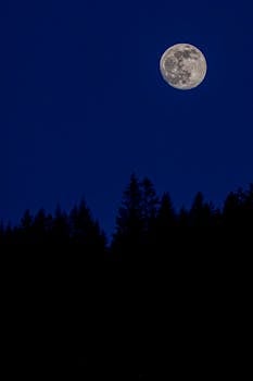 Captivating image of a full moon illuminating the night sky above a silhouetted forest.