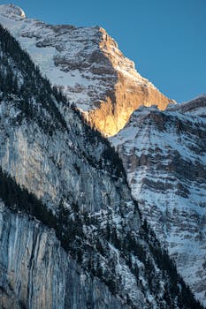 A striking view of a snow-capped mountain peak illuminated by sunlight, surrounded by pine forest.