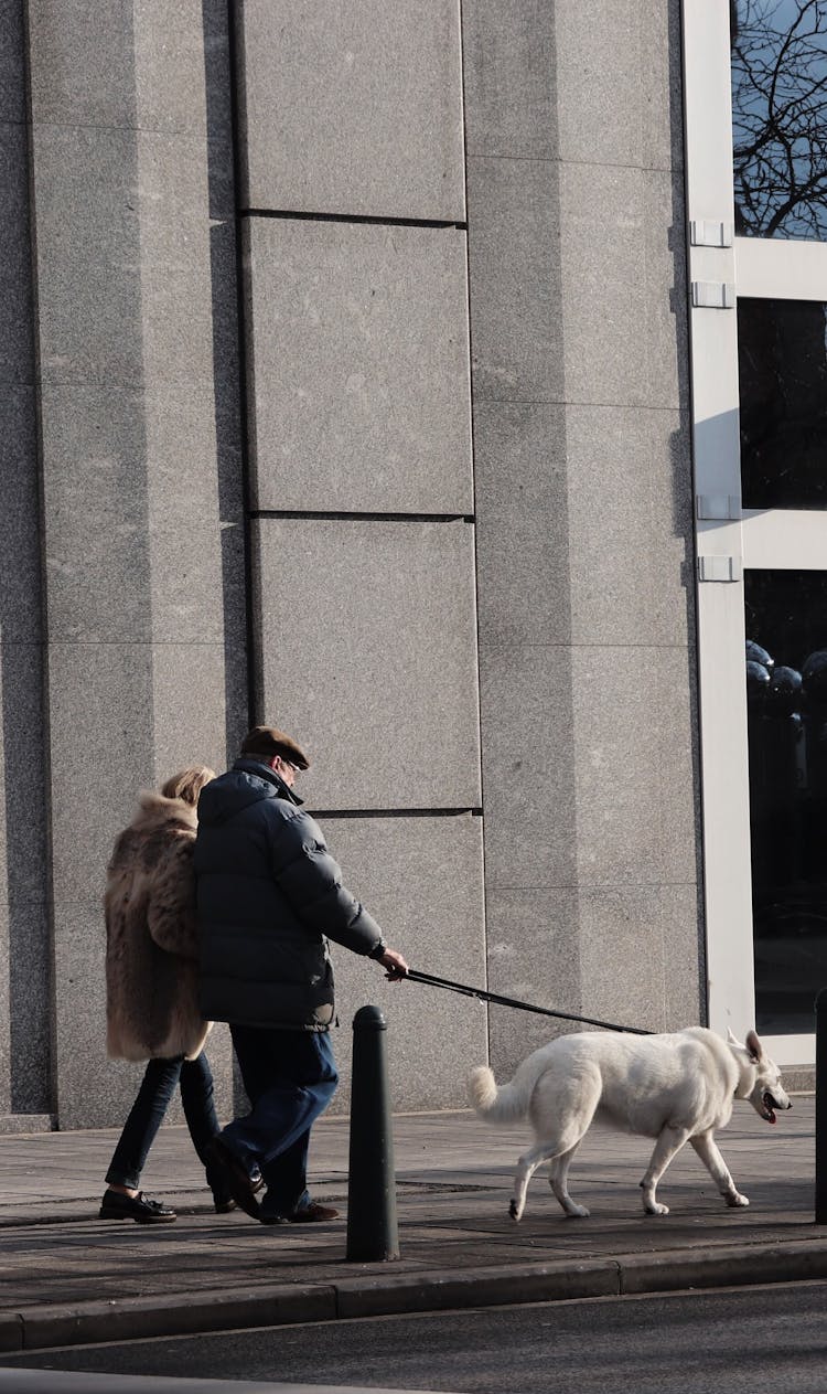 Man And Woman Walking Their Dog At The Street 