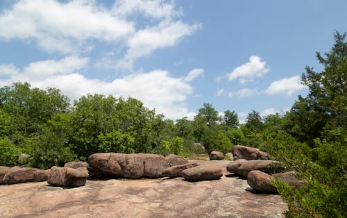 大石頭, 天空, 森林 的 免費圖庫相片