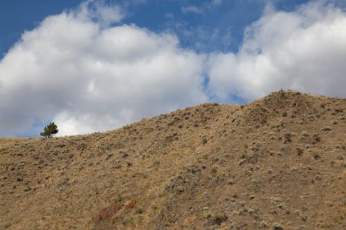 Gratis stockfoto met 4k achtergrond, berg, berghelling