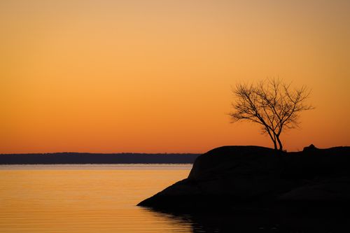 Free Calm waters and a silhouetted tree against an orange twilight sky. Stock Photo