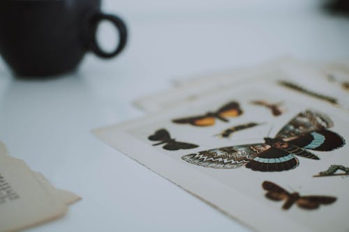 Siyah Seramik çay Fincanı Yanında Kağıt üzerinde çeşitli Grafik Kelebekler