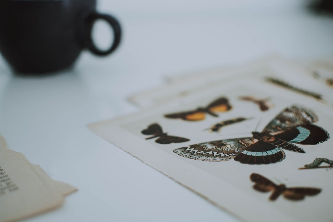 Assorted Graphic Butterflies on Paper Near Black Ceramic Teacup