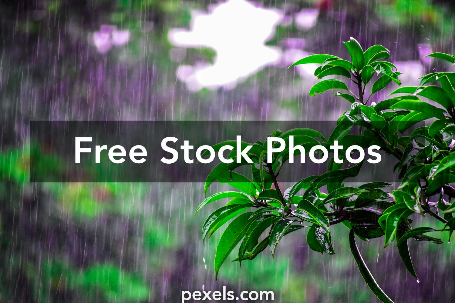 10 000 Best Raining Photos 100 Free Download Pexels Stock Photos