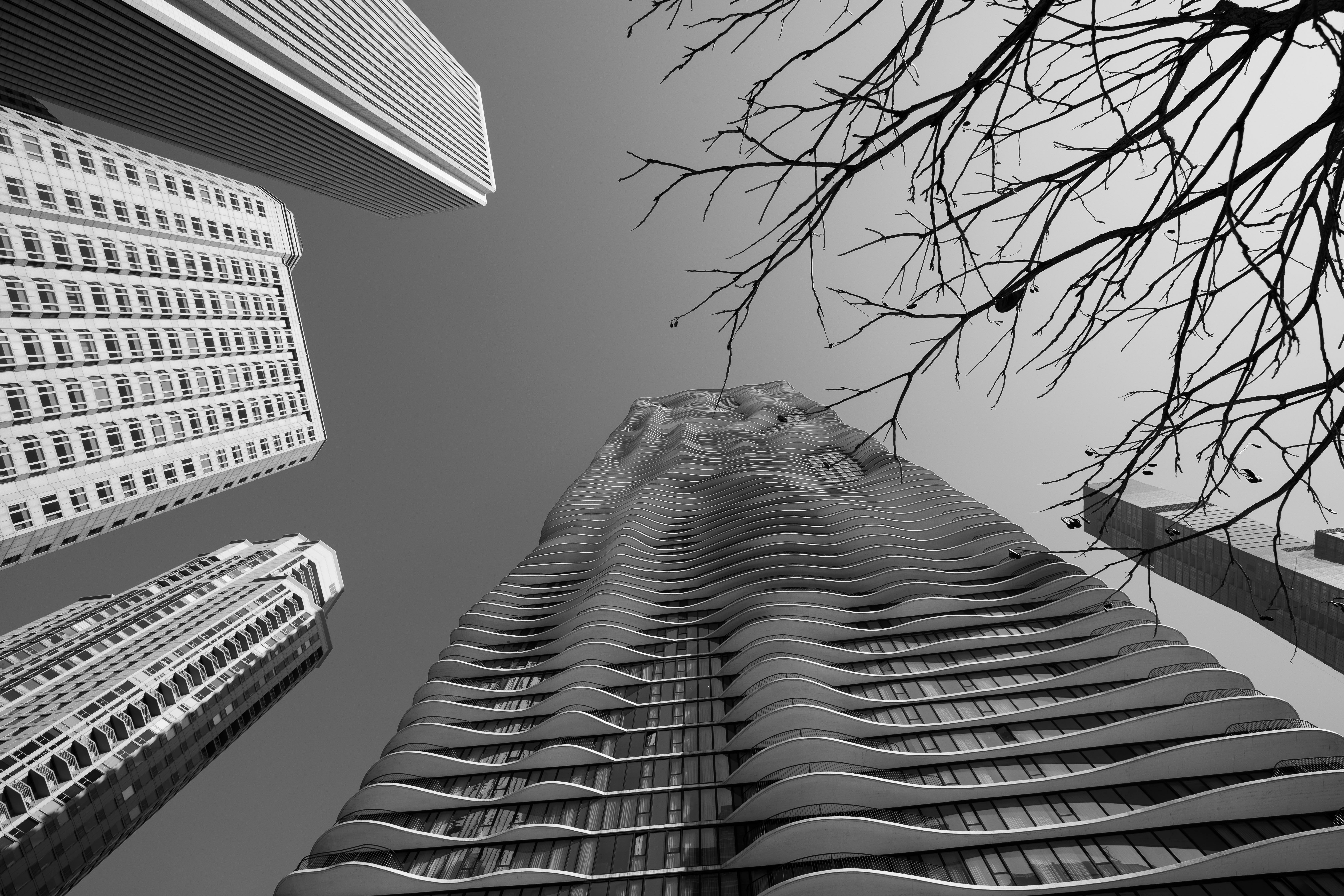Skyscrapers in Black and White · Free Stock Photo