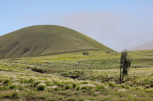 Immagine gratuita di campo d'erba, collina verde, fotografia della natura