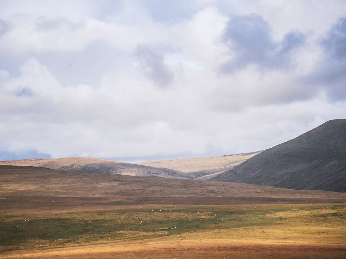 3 Day Private Nervous System Restoration Retreat, UK 3