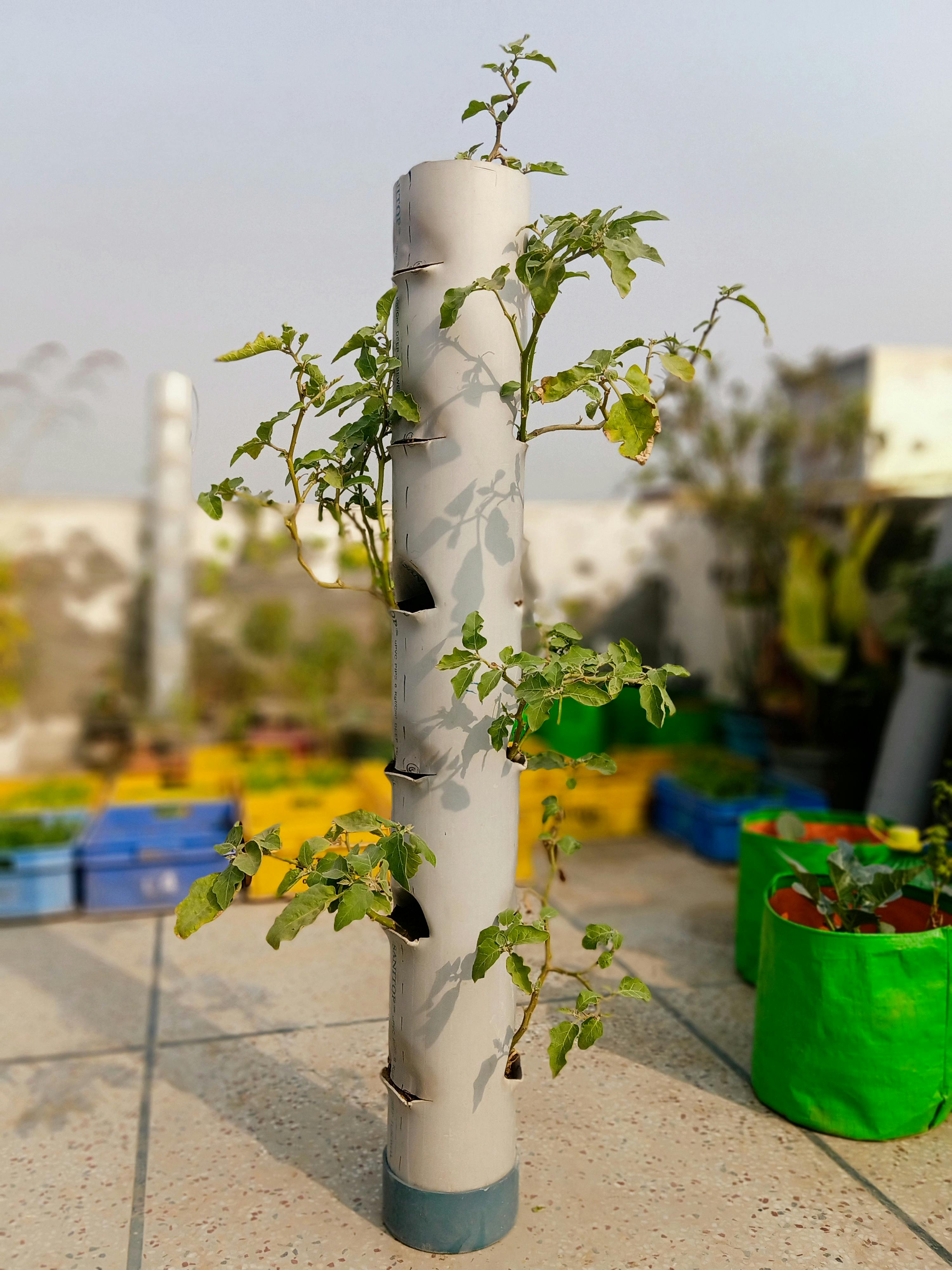 Celular con aplicación de emergencia abierta en medio de un bosque