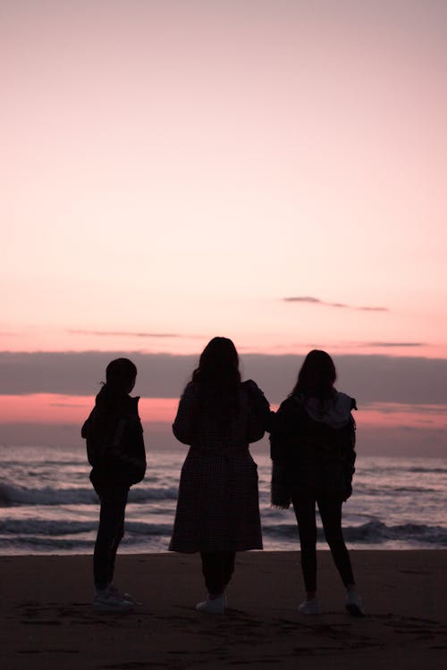 Free Silhouettes of People at a Beach Stock Photo