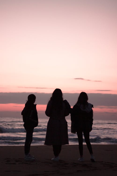 Silhouettes of People at a Beach