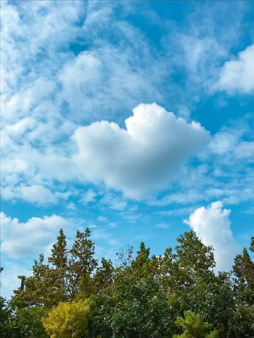 Fotobanka s bezplatnými fotkami na tému mraky obloha, tvar srdca