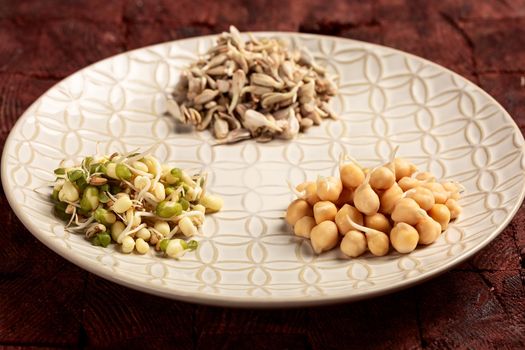 Sprouted Spicy Fiesta Seeds With Celtic Sea Salt Go Raw