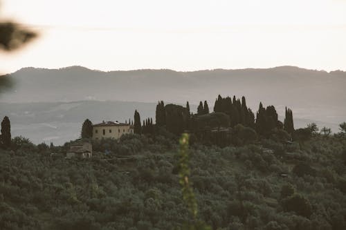 Houses in Mountains