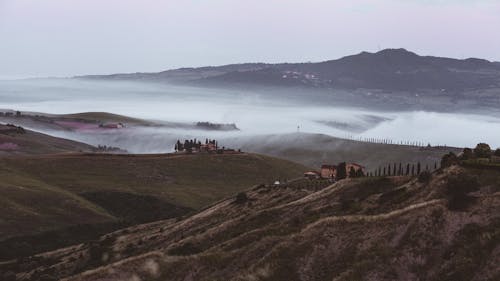 Rural Landscape in Fog