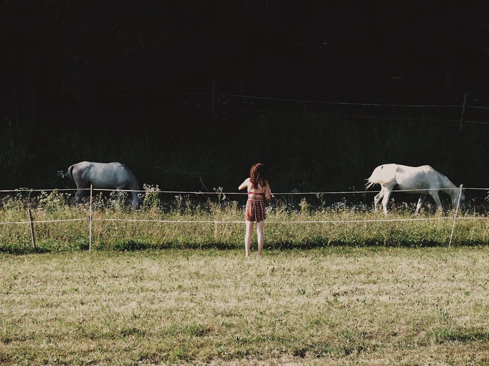 女人站在绿草地上的两个白马附近