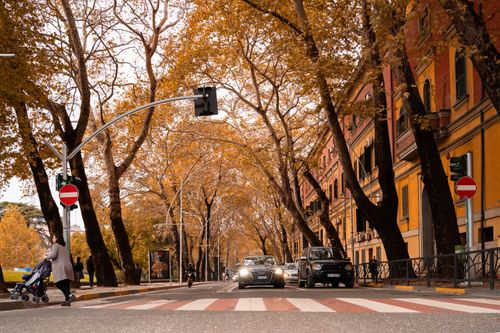 Free A scenic autumn street with trees, cars, and a pedestrian crossing under a warm sky. Stock Photo