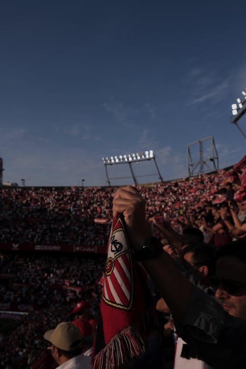 Fotos de stock gratuitas de deporte, espectadores, estadio