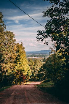 一条宁静的土路穿过郁郁葱葱的森林，通向远方明亮的蓝天与山景