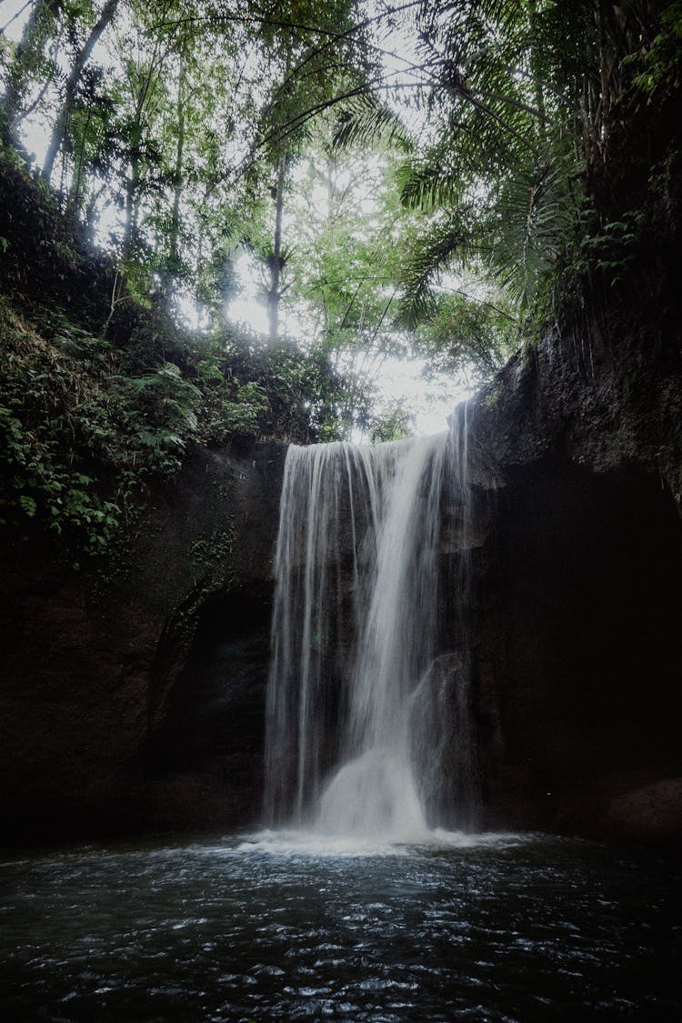 Waterfalls In The Middle Of Rainforest