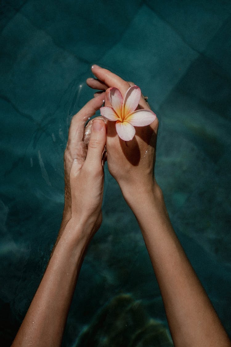 Hands Holding A Flower On Water 