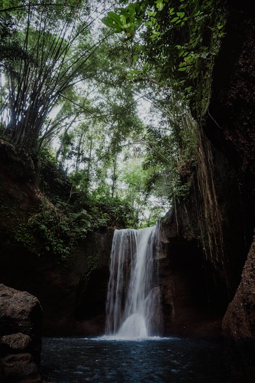 Foto d'estoc gratuïta de arbres verds, bosc, cascades