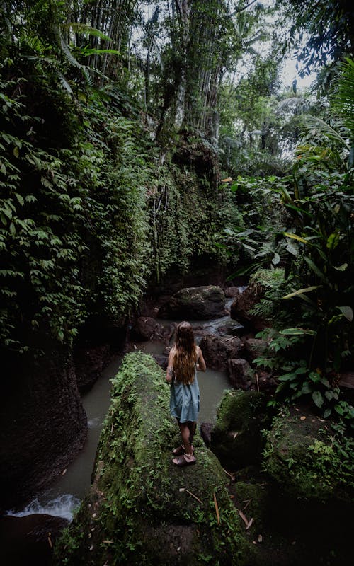 Immagine gratuita di donna, fiume, foresta pluviale