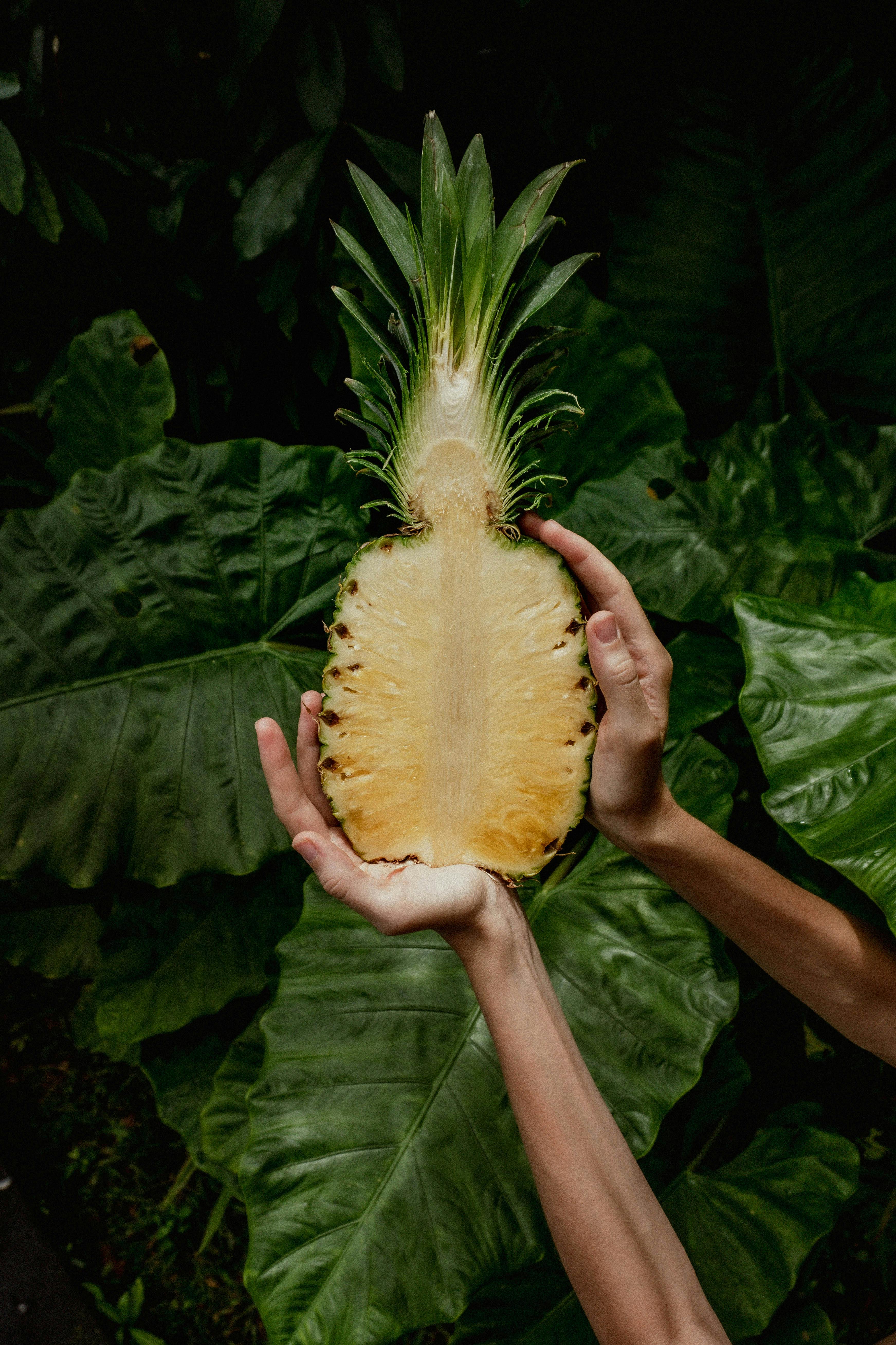 What foods naturally have quercetin?