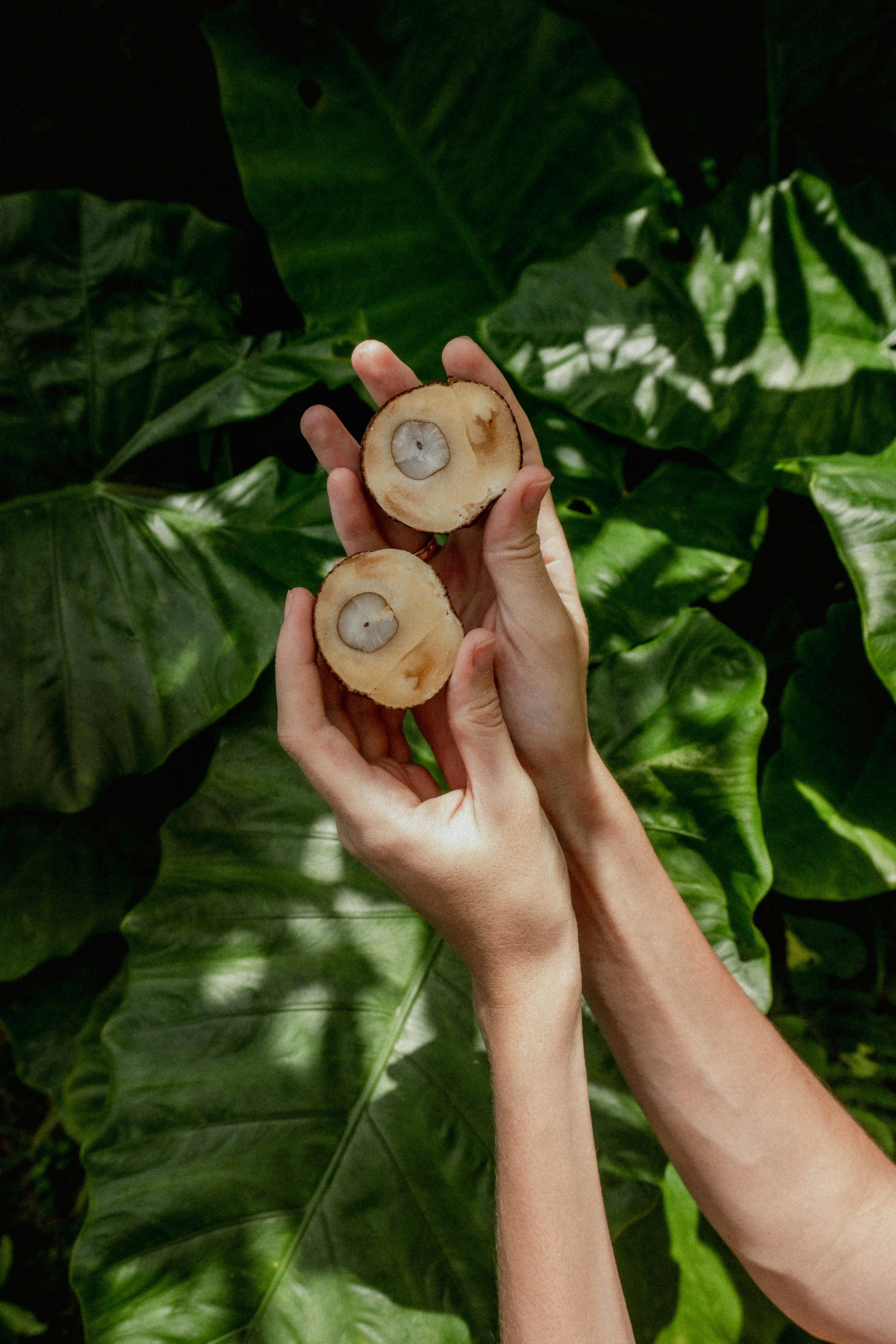 What is the number 1 fruit in the world?