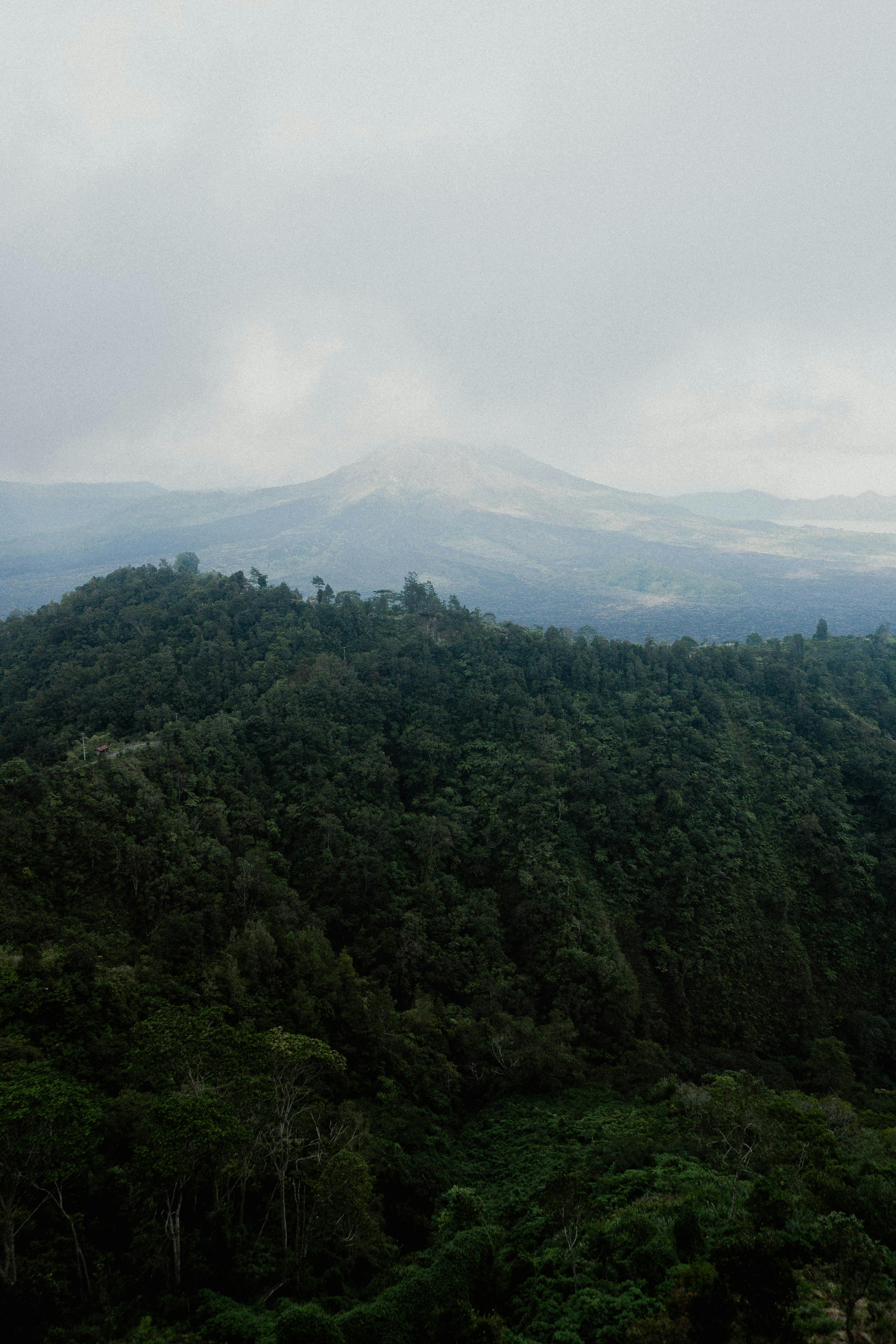 Miễn phí Ảnh lưu trữ miễn phí về bắn dọc, bình yên, cây Ảnh lưu trữ