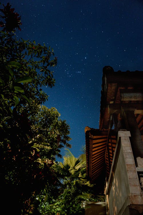 Photo of a Starry Sky with Trees and a Building in the Foreground