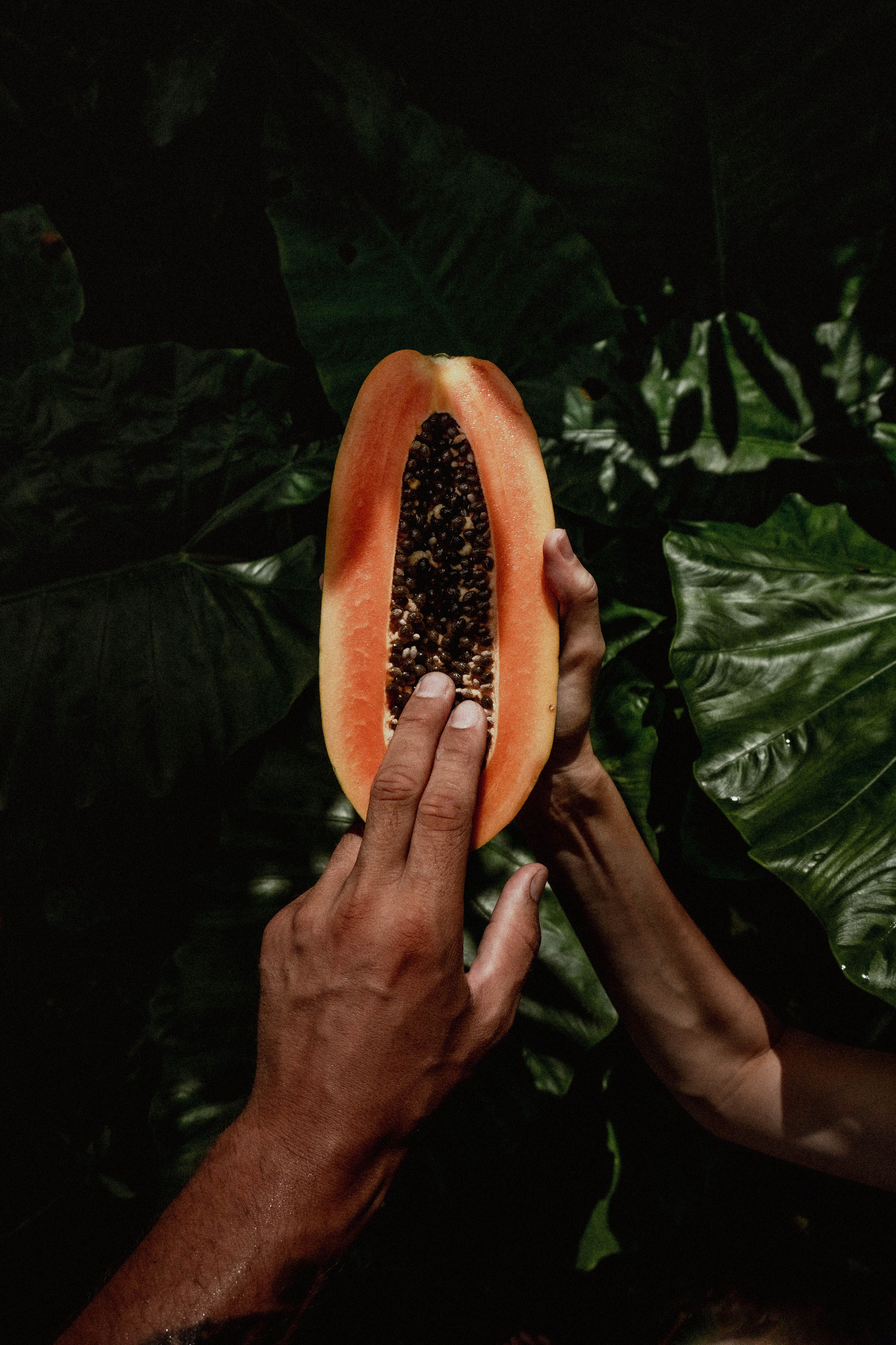 Papaya Fruit Hd Images Free Infoupdate papaya-fruit-hd-images-free-infoupdate