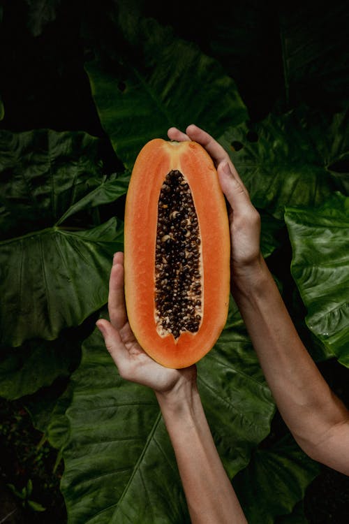 Woman Holding Papaya Fruit 