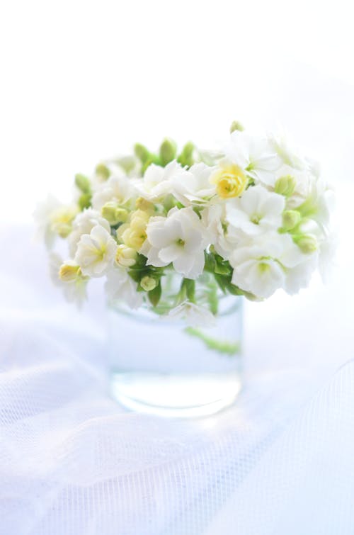 Close-Up Shot of White and Yellow Flower on Flower Vase