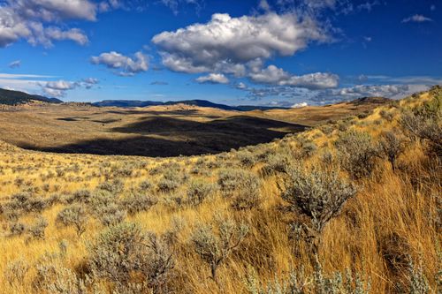 Free Vast and beautiful grassland landscape with shrubs and clouds, showcasing nature's tranquility. Stock Photo
