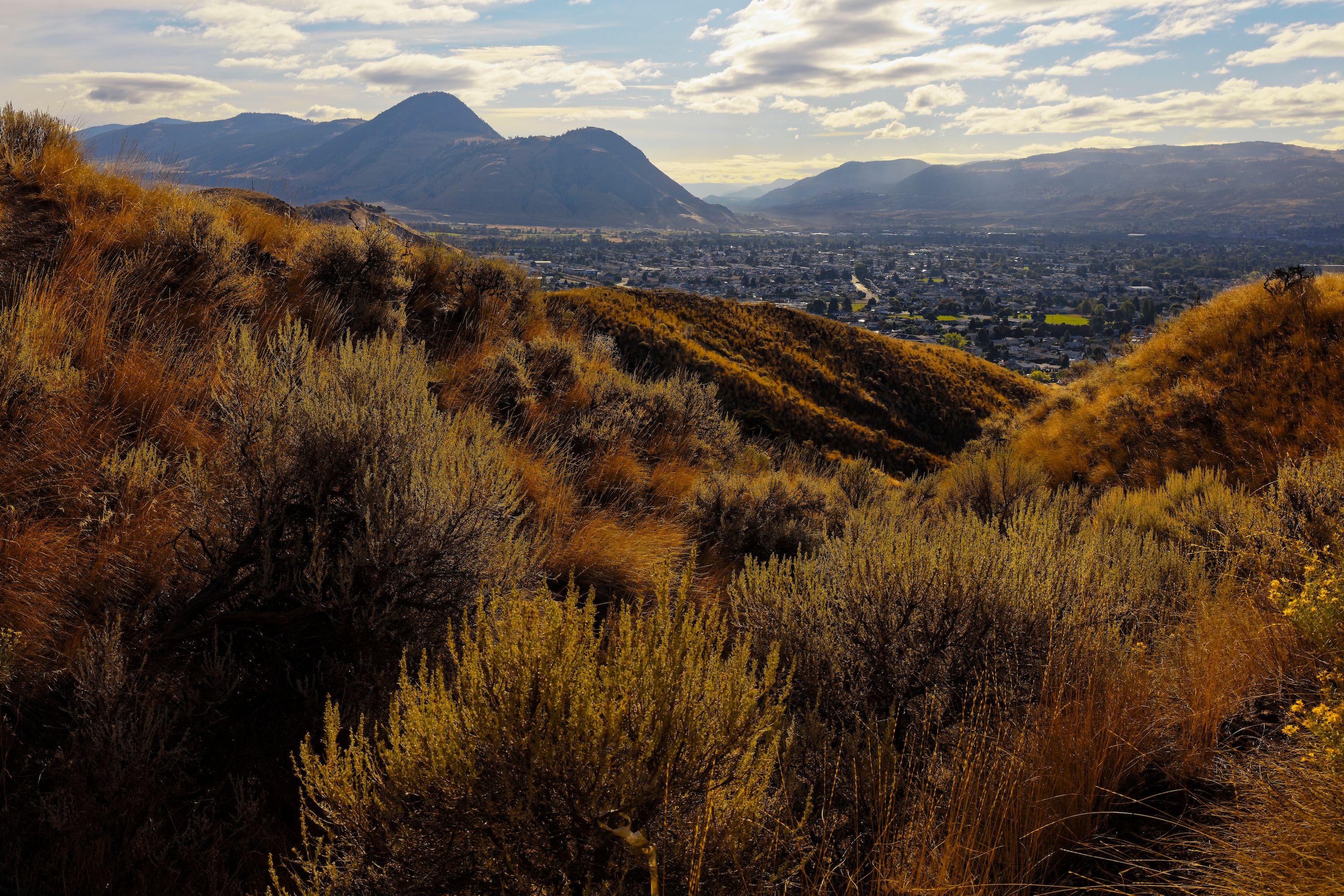 Breathtaking view of mountains and valley during sunset with golden vegetation.